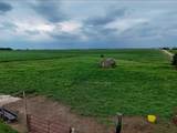 13233 V Road - Photo 9
