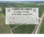 7310 Corrigan Ranch Drive- Tract 2 - Photo 3