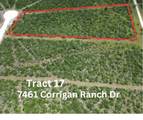 7460 Corrigan Ranch- Tract 17 Road - Photo 1