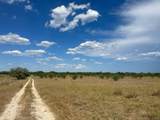 2208 Old Goliad Road - Photo 16