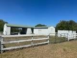 2208 Old Goliad Road - Photo 6
