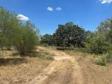 2208 Old Goliad Road - Photo 9
