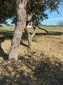 6525 Hwy. 35 - Photo 2