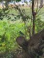 N/A County Road 2849 - Photo 11