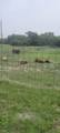 N/A County Road 2849 - Photo 12