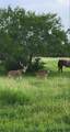 N/A County Road 2849 - Photo 15