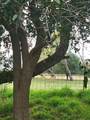 N/A County Road 2849 - Photo 20