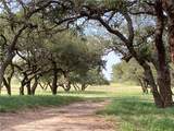 3993 Cr 110 Off Of Fm 3066 - Photo 10