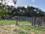 3993 Cr 110 Off Of Fm 3066 - Photo 12