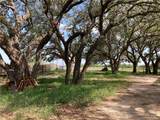 3993 Cr 110 Off Of Fm 3066 - Photo 6