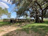 3993 Cr 110 Off Of Fm 3066 - Photo 9