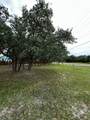 901 Linden Street - Photo 7