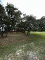 901 Linden Street - Photo 8