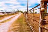 2741 Fm 2924 - Photo 25
