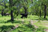 0 County Road 1010 - Photo 11