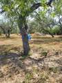 6086 State Highway 359 - Photo 12