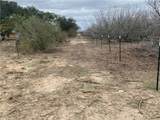 527 County Road 137 - Photo 31