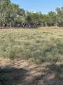 5452 Fm 666 Street - Photo 15