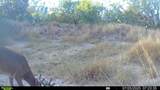 0 Cameron Lane- 80 Acres - Photo 21