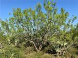 0 Cameron Lane- 80 Acres - Photo 32