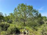 0 Cameron Lane- 80 Acres - Photo 7