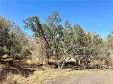 0 County Road 215- 20 Acres - Photo 12