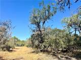 0 County Road 215- 20 Acres - Photo 13