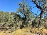 0 County Road 215- 20 Acres - Photo 18