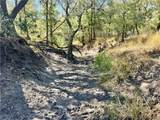 0 County Road 215- 20 Acres - Photo 35