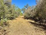0 County Road 215- 20 Acres - Photo 38