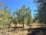 0 County Road 215- 20 Acres - Photo 39