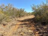 0 County Road 203 - Photo 23
