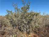 0 County Road 203 - Photo 25