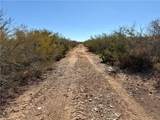 0 County Road 203 - Photo 37