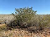 0 County Road 203 - Photo 7