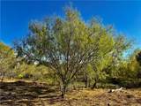 2949 County Road 215 (22.81 Acres) - Photo 11
