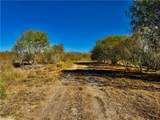 2949 County Road 215 (22.81 Acres) - Photo 13