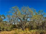 2949 County Road 215 (22.81 Acres) - Photo 19