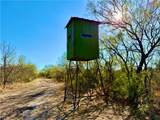 2949 County Road 215 (22.81 Acres) - Photo 3