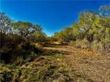 2949 County Road 215 (22.81 Acres) - Photo 30