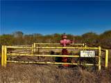 2949 County Road 215 (22.81 Acres) - Photo 36