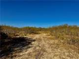 2949 County Road 215 (22.81 Acres) - Photo 5