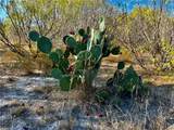 2949 County Road 215 (22.81 Acres) - Photo 7