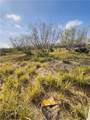 7011 County Road 12 - Photo 21