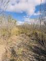 7011 County Road 12 - Photo 25