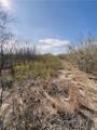7011 County Road 12 - Photo 26