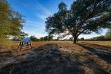 1038 Old Goliad Road - Photo 15