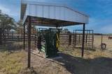 1038 Old Goliad Road - Photo 7