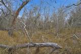 00 County Road 320 - Photo 2