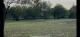 53 Sunny Vale - Photo 4
